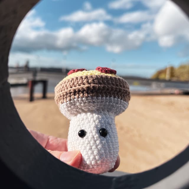 Balu, Sophie und Fungi