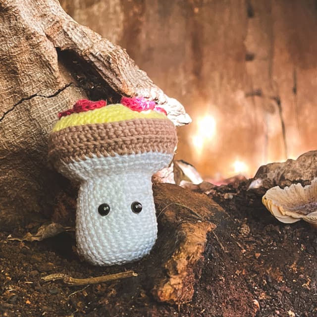 Balu, Sophie und Fungi