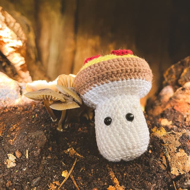 Balu, Sophie und Fungi